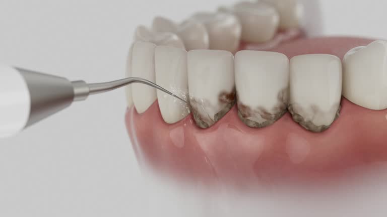 Reliable Dental contractor in Gardner, IL by Dentist Open Now